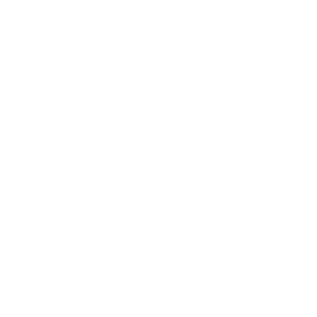 Rising Youth Winter Rally